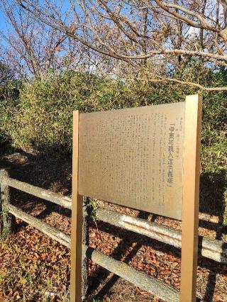鐙摺城（旗立山城）の登城記録(マリリさん)