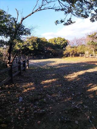 鐙摺城（旗立山城）の登城記録(マリリさん)