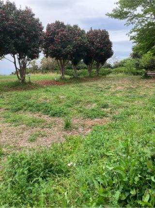 獅子ヶ谷城（御薗城・獅子ヶ谷殿山）の登城記録(監督さん)