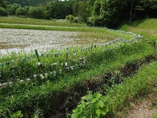 宇利城の登城記録(オカドンさん)
