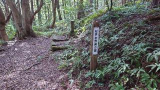 宇利城の登城記録(オカドンさん)