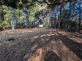 宇利城の登城記録(千　百万さん)