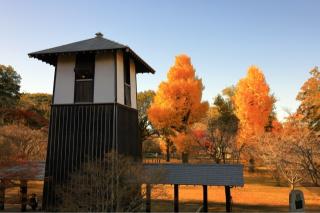 笠間城の登城記録(こにーさん)