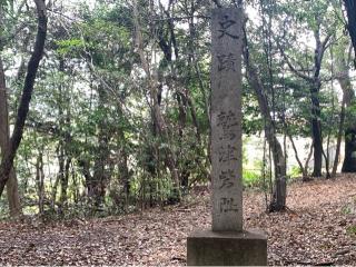 鷲津砦の登城記録(くーさん)