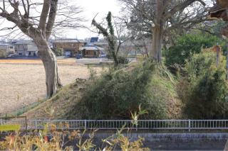 府中城の登城記録(こにーさん)