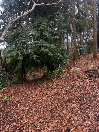 久下田城の登城記録(やさかさん)