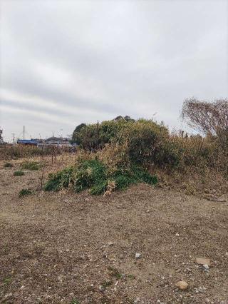 市場城の登城記録(マリリさん)