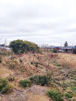 市場城の登城記録(マリリさん)