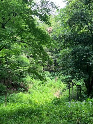 大丸城の登城記録(監督さん)