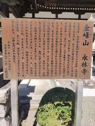 由木城の登城記録(マリリさん)