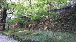 飯盛城の登城記録(オカドンさん)