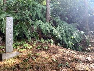 松平城の登城記録(くーさん)