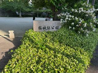 桜城の登城記録(清正さん)