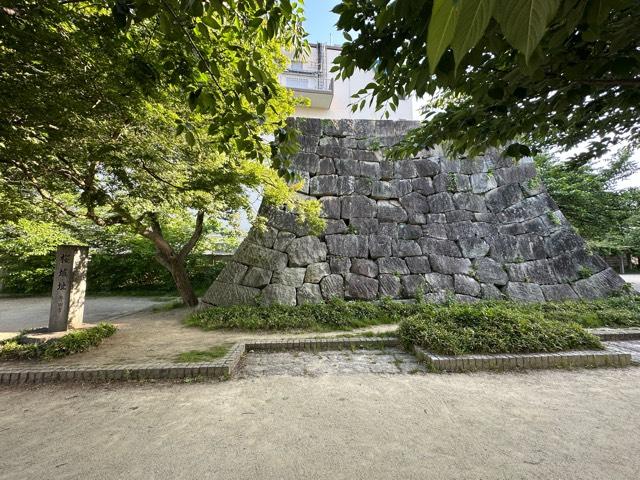 愛知県豊田市元城町1丁目51-51 桜城の写真4
