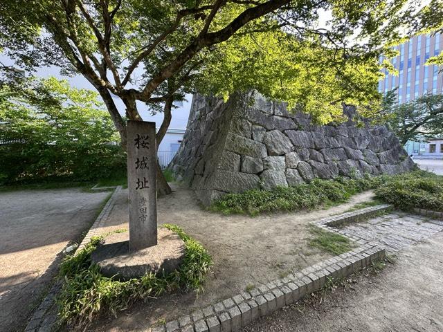 愛知県豊田市元城町1丁目51-51 桜城の写真5