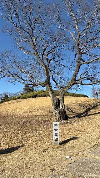古河公方館の登城記録(みねさん)