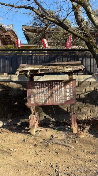 古河城の登城記録(みねさん)