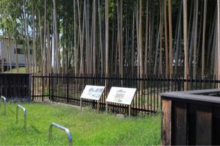 古河城の登城記録(こにーさん)