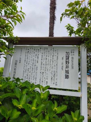 加賀野井城の登城記録(マリリさん)