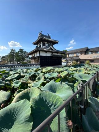 本證寺城の登城記録(清正さん)
