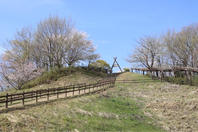 岐阜県可児郡御嵩町御嵩 御嵩城の写真1