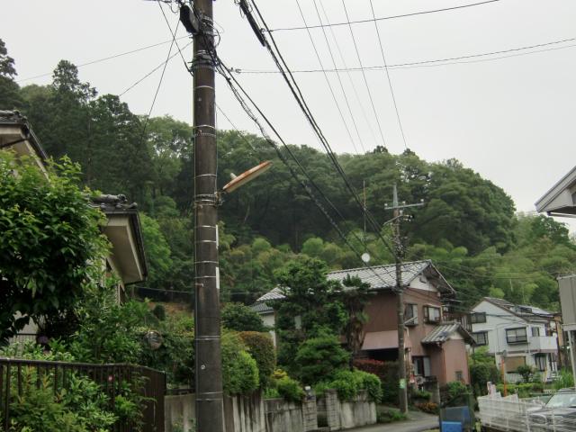 神奈川県川崎市多摩区菅仙谷 小沢城の写真1
