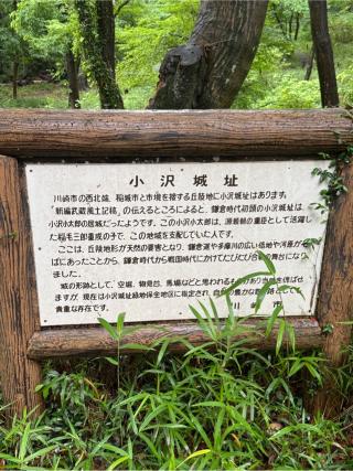 小沢城の登城記録(無極さん)