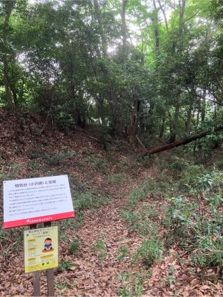 小沢城の登城記録(監督さん)