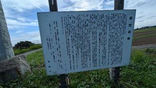 豊田城の登城記録(ニャン川さん)