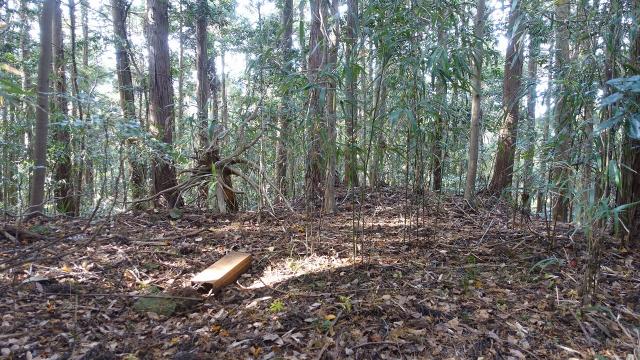 山梨県南巨摩郡南部町南部 南部城の写真1