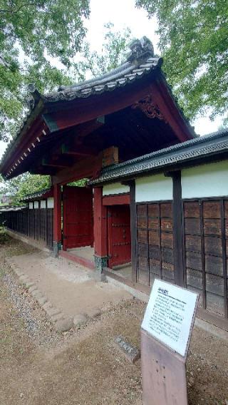 逆井城の登城記録(洸あきらさん)