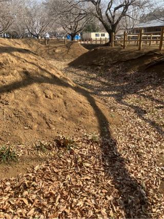 逆井城の登城記録(監督さん)