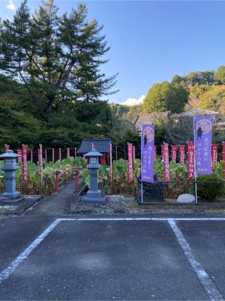 医王寺山城の登城記録(クレナイトさん)