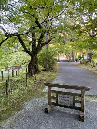 医王寺山城の登城記録(クレナイトさん)