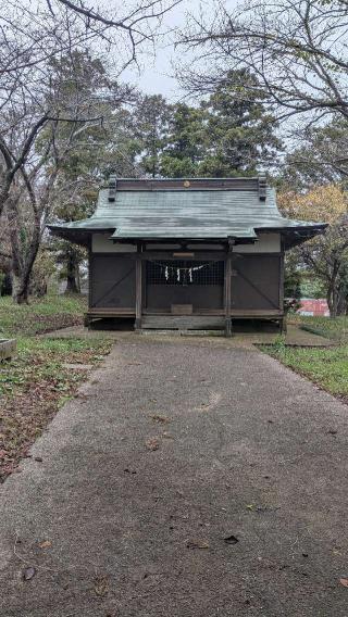 高井城の登城記録(ニャン川さん)