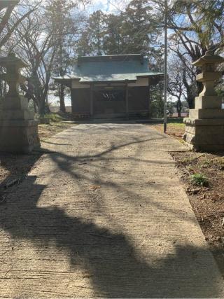 高井城の登城記録(監督さん)