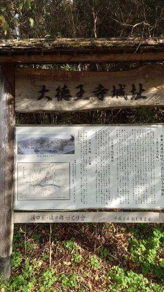 大徳王寺城の登城記録(くぺさん)