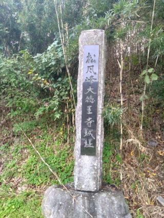 大徳王寺城の登城記録(タケローさん)