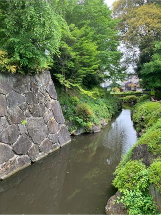 上三川城の登城記録(監督さん)