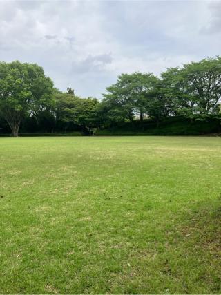 上三川城の登城記録(監督さん)