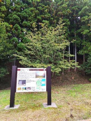 石神城の登城記録(マリリさん)