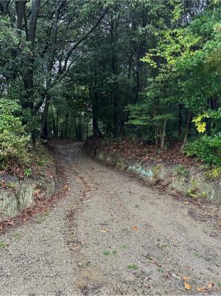 大草城の登城記録(清正さん)