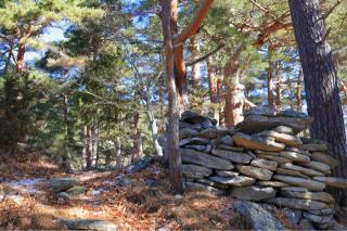 松尾古城の登城記録(こにーさん)