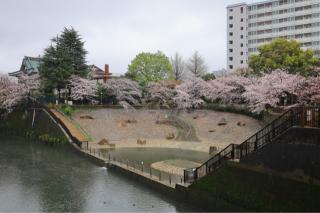 滝野川城の登城記録(こにーさん)