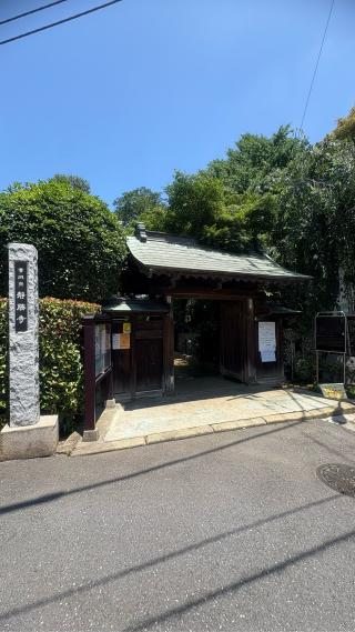 稲付城の登城記録(みねさん)