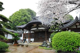 稲付城の登城記録(こにーさん)