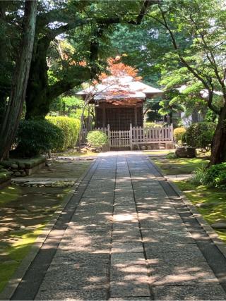 稲付城の登城記録(監督さん)