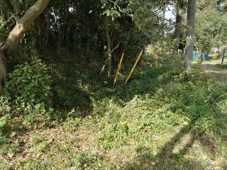 東林寺城の登城記録(けいいちさん)