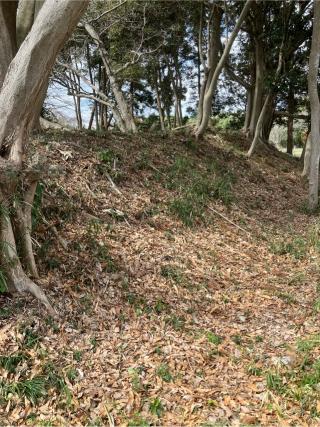 東林寺城の登城記録(監督さん)