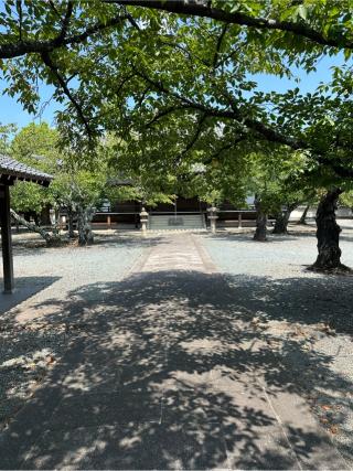 野口城の登城記録(清正さん)